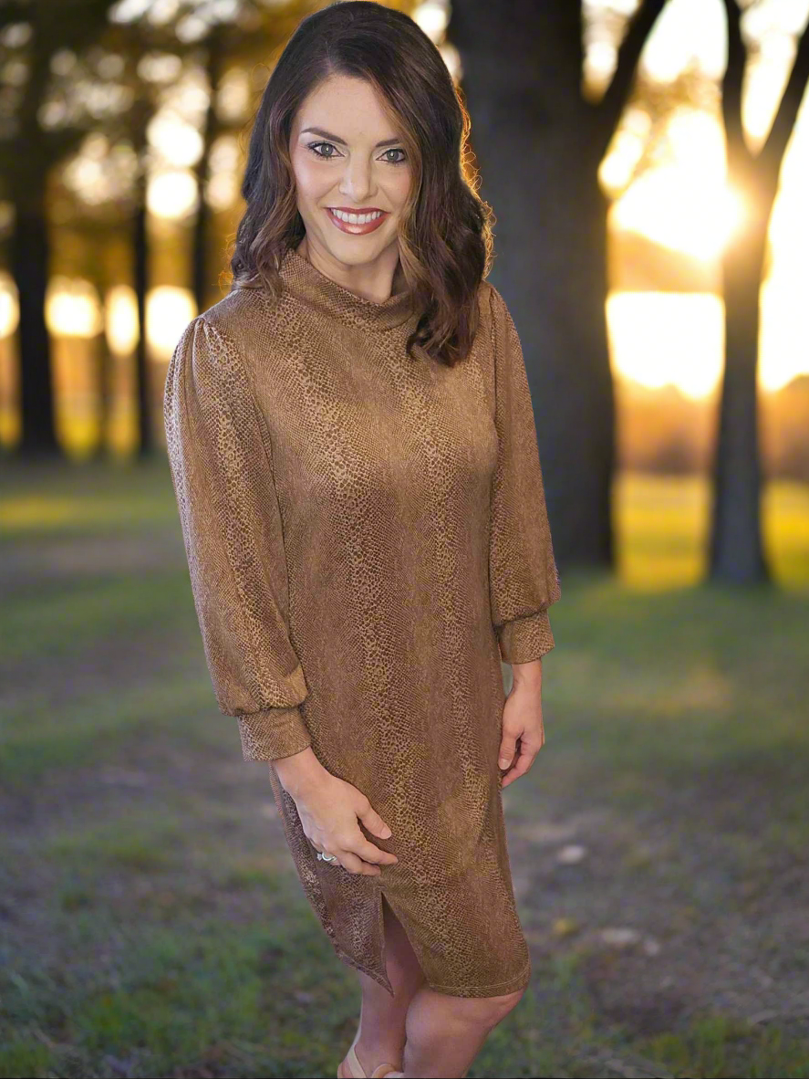 Brown Snake Print Dress